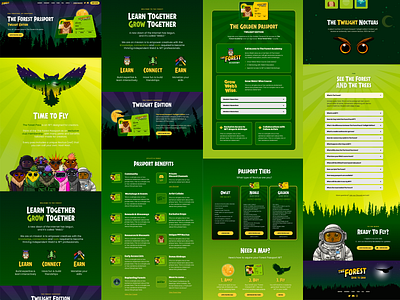 The Forest Passport NFT Website branding forest green illustration nft owl ui ux web design website