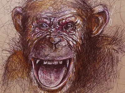 Chimpanzee - Drawing - Pen drawing - How to Draw amazing drawings animal artrack best drawings chimpanzee drawing illustration painting sketch