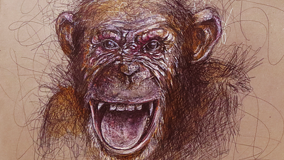 Chimpanzee - Drawing - Pen drawing - How to Draw amazing drawings animal artrack best drawings chimpanzee drawing illustration painting sketch