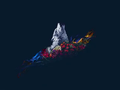 Howl design graphic design illustration