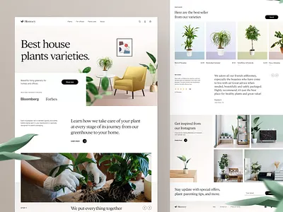 Bloomey - House plant shop website branding clean design e ceommerce website ecommerce fashion website design illustration logo marketing website marketing website design simple ui ux web website website interface design