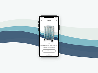 Dior Luggage Ecommerce 012 012 dailyui ecommerce ui
