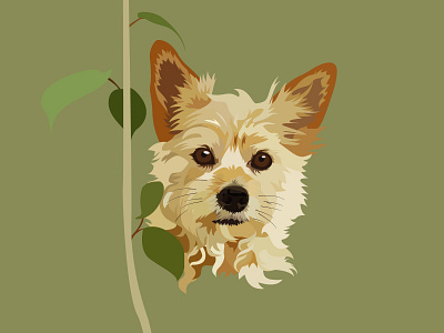 Zoey the Australian Terrier Portrait animal christmasgift christmasgifts design designer gift graphic design graphicdesign illustration illustrator illustrator art pet pet portrait portrait vector vector illustration vectorillustration