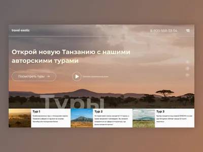 Tanzania tour uiux website design