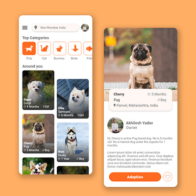 Pet App Design ui ui design
