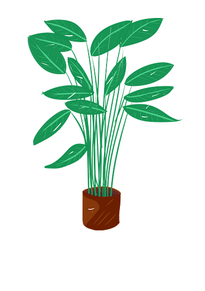 Lagia Plant green illustration plant illustration