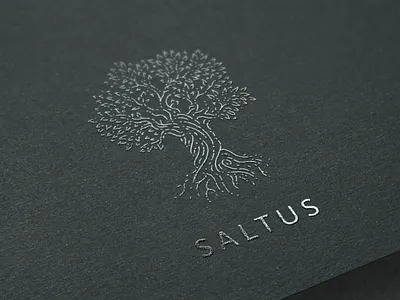 Saltus arbre branding handrawn leaves logo saltus sustainable sustainable development tree