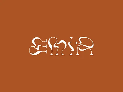 EMIR - branding for food branding dried fruits food brand food branding food identity fruit brand identity illustration logo logotype mark modern logo orange product design products warm colours