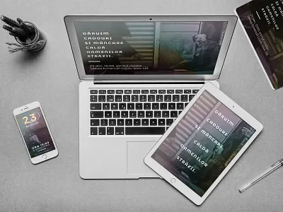 Homeless project - BBSO bbso black clean colors design font gradient homeless minimalist montserrat sans font sanserif simple typography