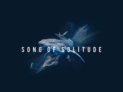 Song Of Solitude design graphic design illustration