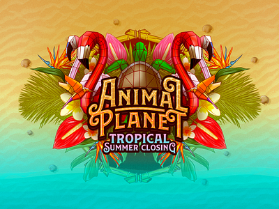 Animal Planet Tropical animal beach exotic hawaii holiday illustration summer tropical turtle zoo