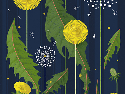 Dandelion blue design field green illustration summer vector yellow