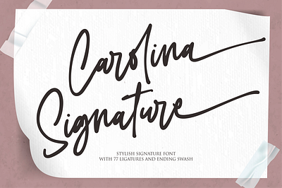 Carolina Signature branding design font icon illustration illustrator lettering logo typography vector