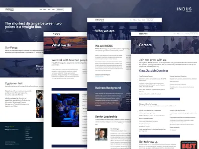 Government Website Design application blue branding corporate design flat goverment logo minimal typography ux website
