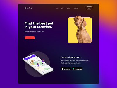 Pawlove design gradient pets purple gradient purple ui ui ux webdesign website