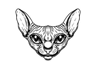 Illustration of a Sphynx cat. cat engraving kitty procrate sphynx tattoo