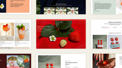 Oishii Website Design Ecosystem berry design oishii strawberry ui ux vertical farming web webdesign website website design
