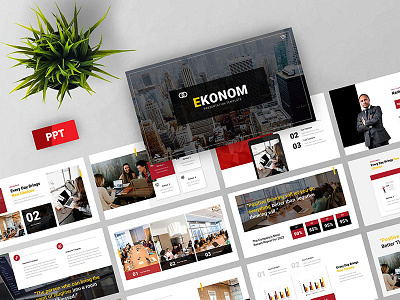 ekonom