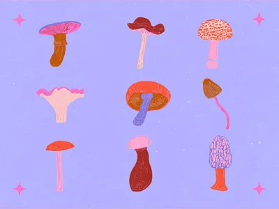 Mushroom Hunting branding design editorial flat food illustration vector