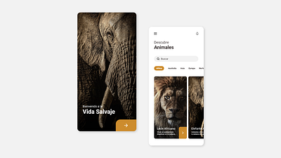 DISCOVER ANIMALS adobe xd app mobile app mobile app design peruapp ui ux uxdesign web