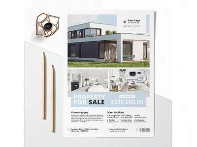 Printable Property Flyer advertisement advertising branding business business flyer corporate corporate business flyer design flyer flyer design