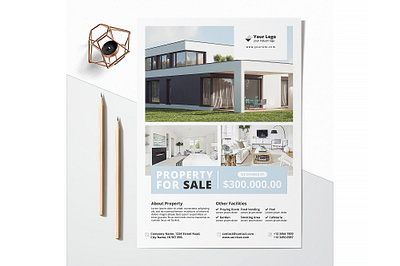 Printable Property Flyer advertisement advertising branding business business flyer corporate corporate business flyer design flyer flyer design