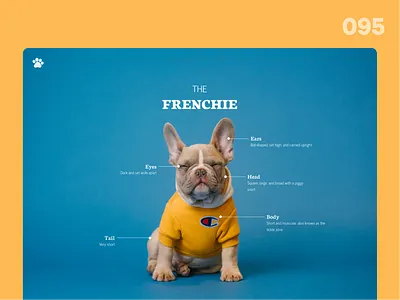 Product Tour_DailyUI095 095 anatomy dailyui dailyui095 dailyuichallenge dog producttour