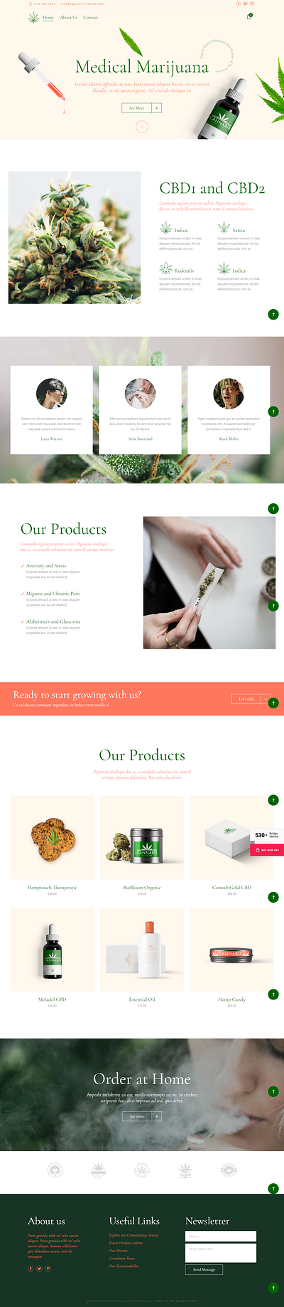 Multivendor Store branding dropshipping store ecommerce design ecommerce shop landingpage mailchimp template shopify woocommerce wordpress