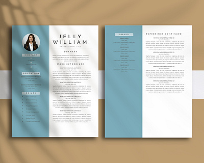 Simple Professional CV Resume job search success