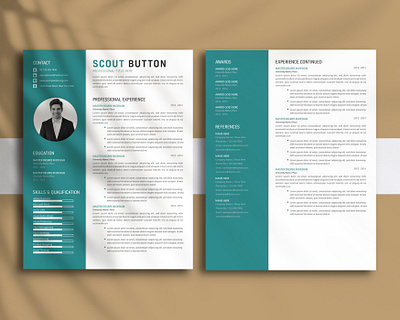 CV Template | Professional Executive two column Resume resume portfolio