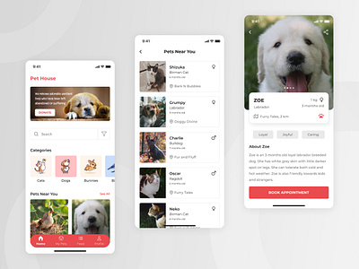 Pet house aesthetics dribbble illustration petlover task ui uxui