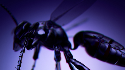 INSECTZ // Styleframe explorations 3d c4d crislabno design illustration octane