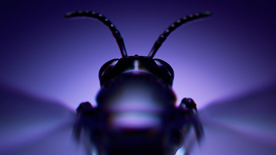 INSECTZ // Styleframe explorations 3d c4d design render