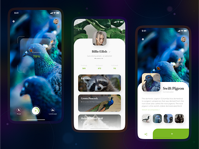 UI/UX for Naturalist. animation app design illustration minimal responsive design ui ui design ux ux research