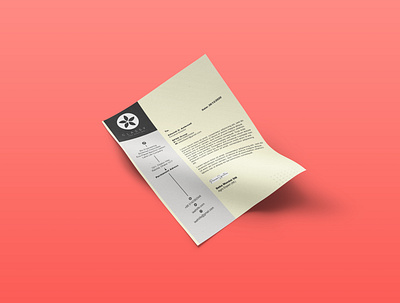 Beauty classy letter head brand identity file flyer design letter head