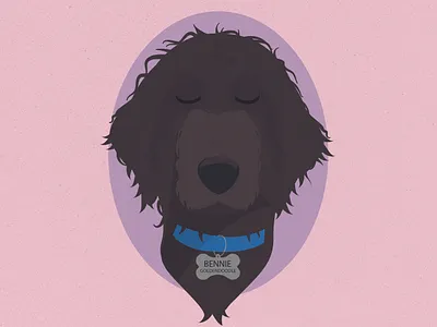 Bennie the Goldendoodle art character character art design dog goodlendoodle illustration illustrator pink sketch vector