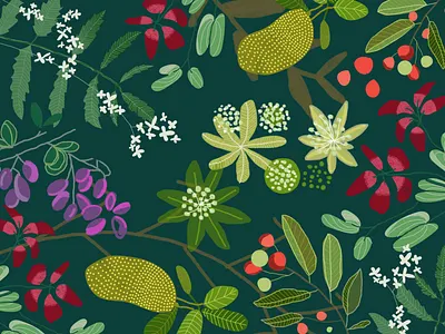 Welcome kit for new home buyers animation app design graphic design icon illustration logo ui ux