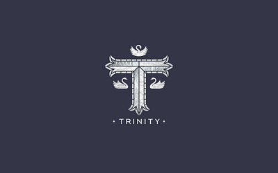 Trinity - Identity for a new homes site branding cathedral custom type logo religion stained glass swans trinity typography vector