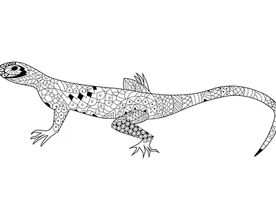Agama animal colorbook creative design illustration lineart lizard