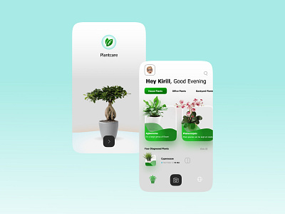 Home Plants design landingpage plants ui ux web вебдизайн