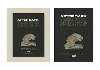 AFTER DARK adobe artwork design editorial magazine poster print type visual visual design