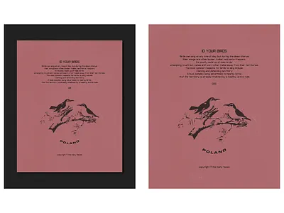 ID YOUR BIRDS artwork design editorial illustrator poster print visual design