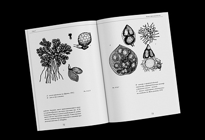 Hydrobotany BOOK book design typography