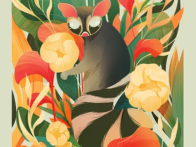 cacomixtle final animal cacomixtle marsupial nature procreate