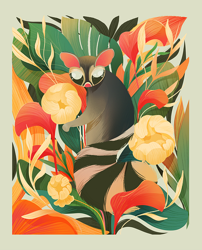 cacomixtle final animal cacomixtle marsupial nature procreate