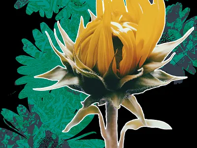 Bring it On gray green vector vector art