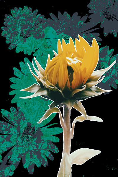 Bring it On gray green vector vector art