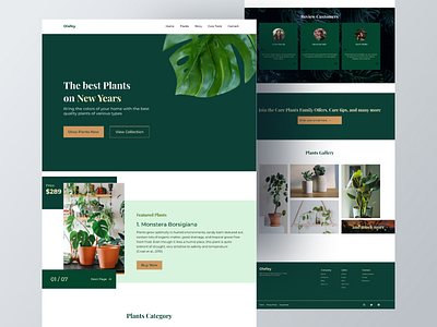 Olafey - Plants Shop Landing Page color creative decoration plant garden green indoor plants landing page landingpage outdoor plants plants ui uidesign uiux ux website website concept website design