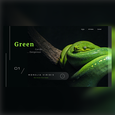 Green adobe xd graphic design landing page ui uidesign user interface web website concept website design xd design