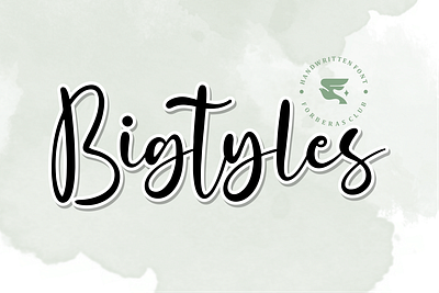 Bigtyles | Handwritten Font abstract alphabet bouncy calligraphy cricut design drawing font handwriting lettering numeric text type typeset